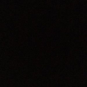 Meet your Posher, Acelynn